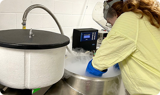 What is a Biobank?